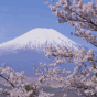 Fuji2