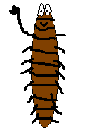 Millipede